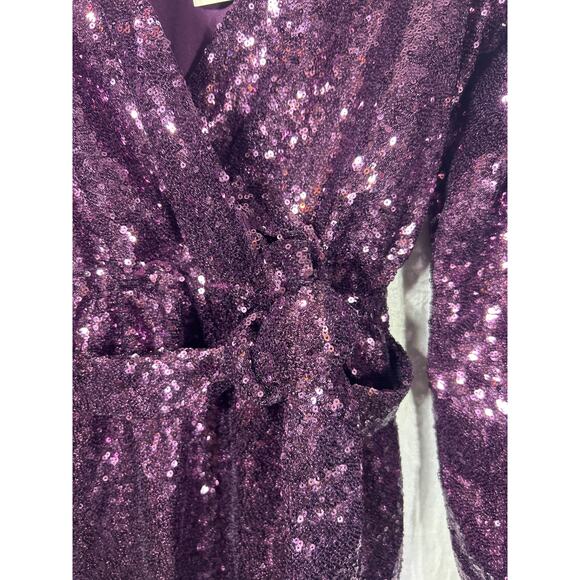 Audrey Parks Francescas Dress Medium Purple Sequins NEW Valary Tie Balloon Slv - Picture 3 of 11